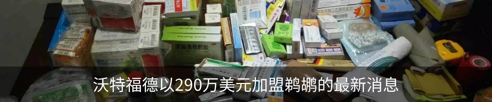 最新动态